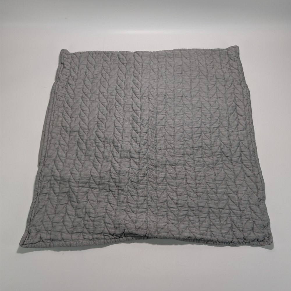 West Elm Organic Cotton Euro Pillow Sham Set - 26x26